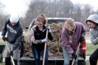 weeding behind Hulman Hall - sustainability